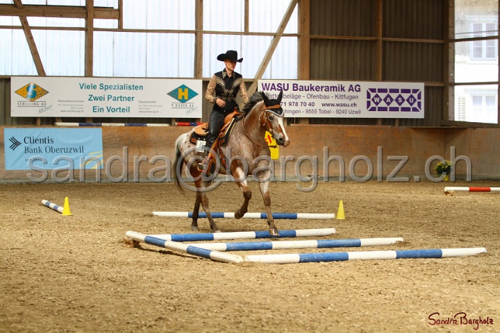 28-ApHC OT_217.jpg